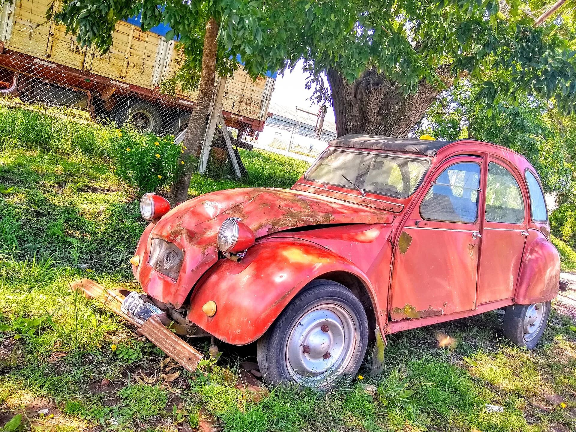 CanopyFitツールが都市の植樹における冷却ポテンシャルをマッピング