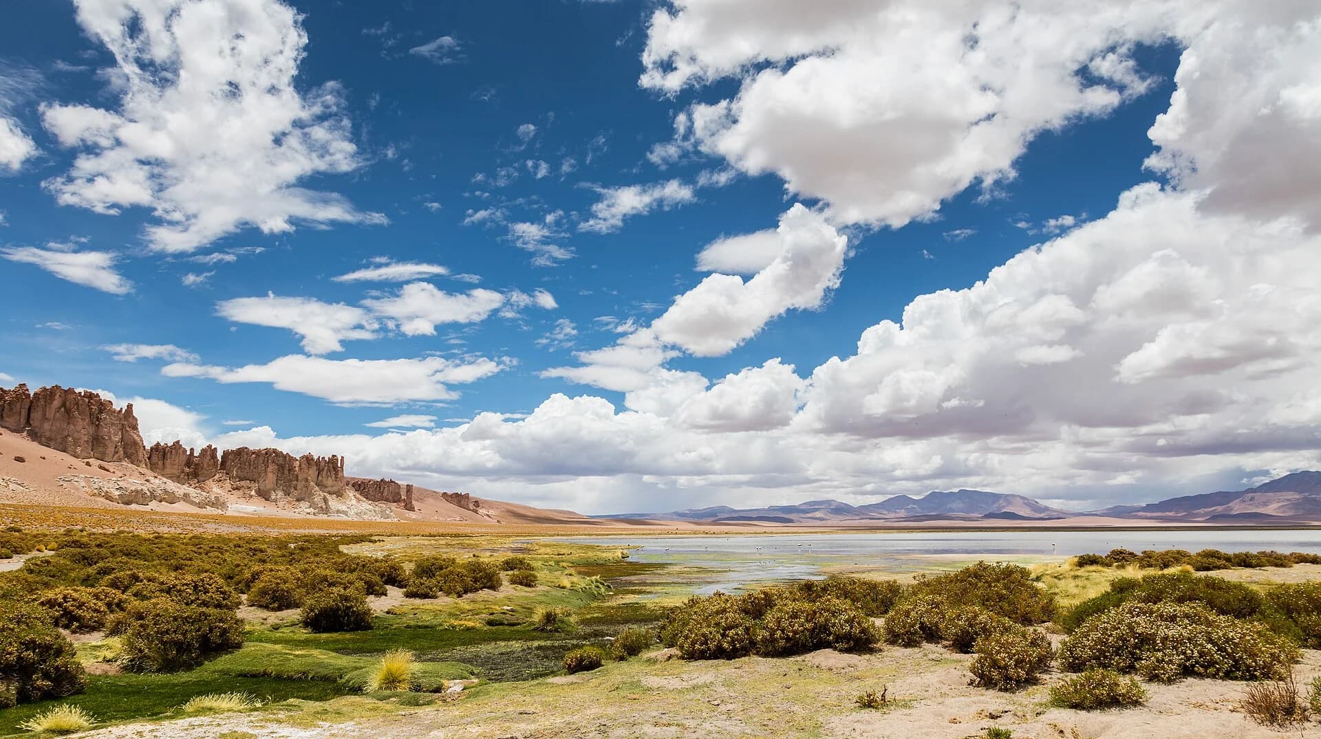 Ağustos 2026'da Atacama Çölü'nde Geniş Kapsamlı Kar Yağışı