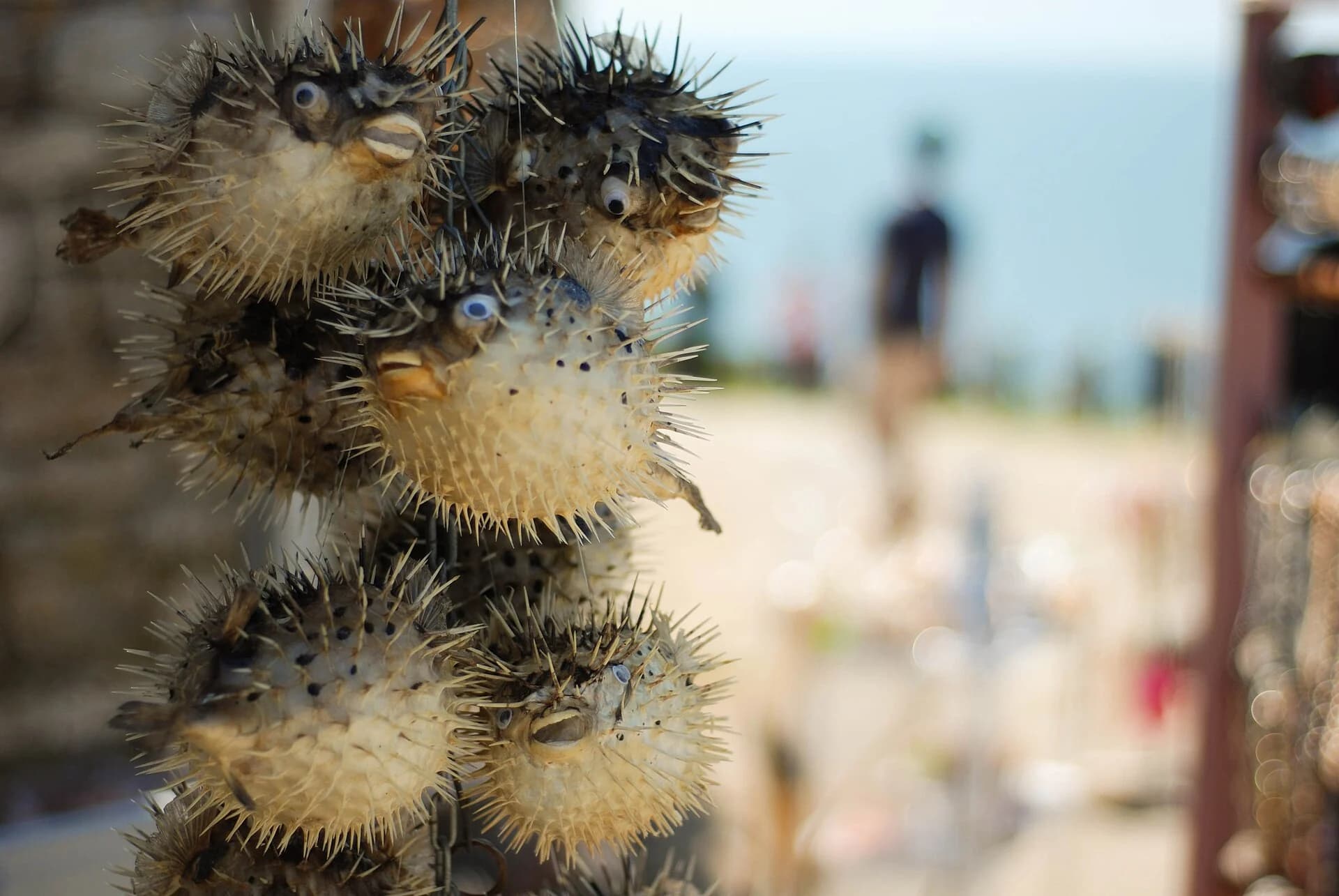 How to Fish: Pufferfish Boss Battle Strategies