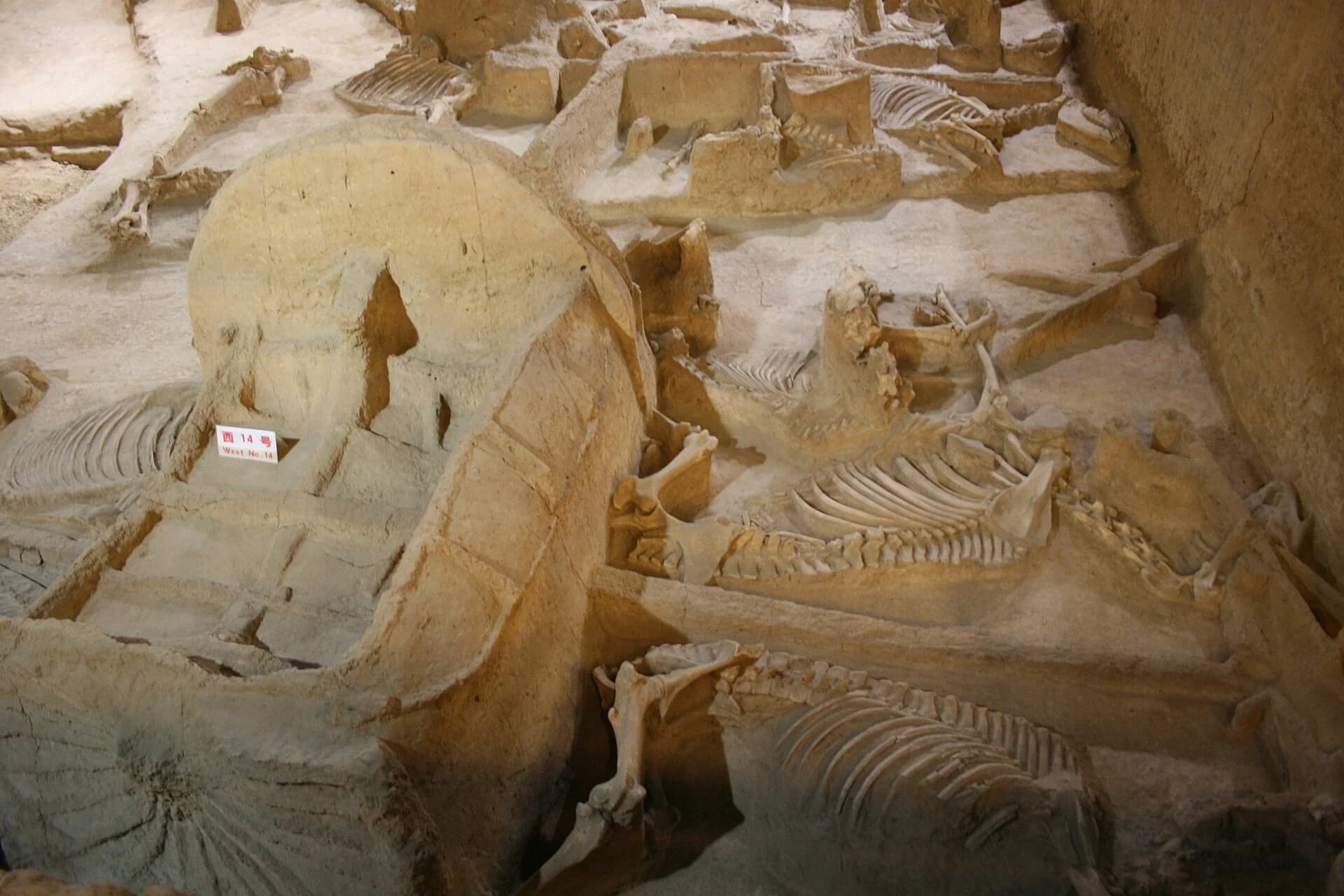 3400年前のファラオの岩壁画:西アジアの兵士を轢く王室の戦車
