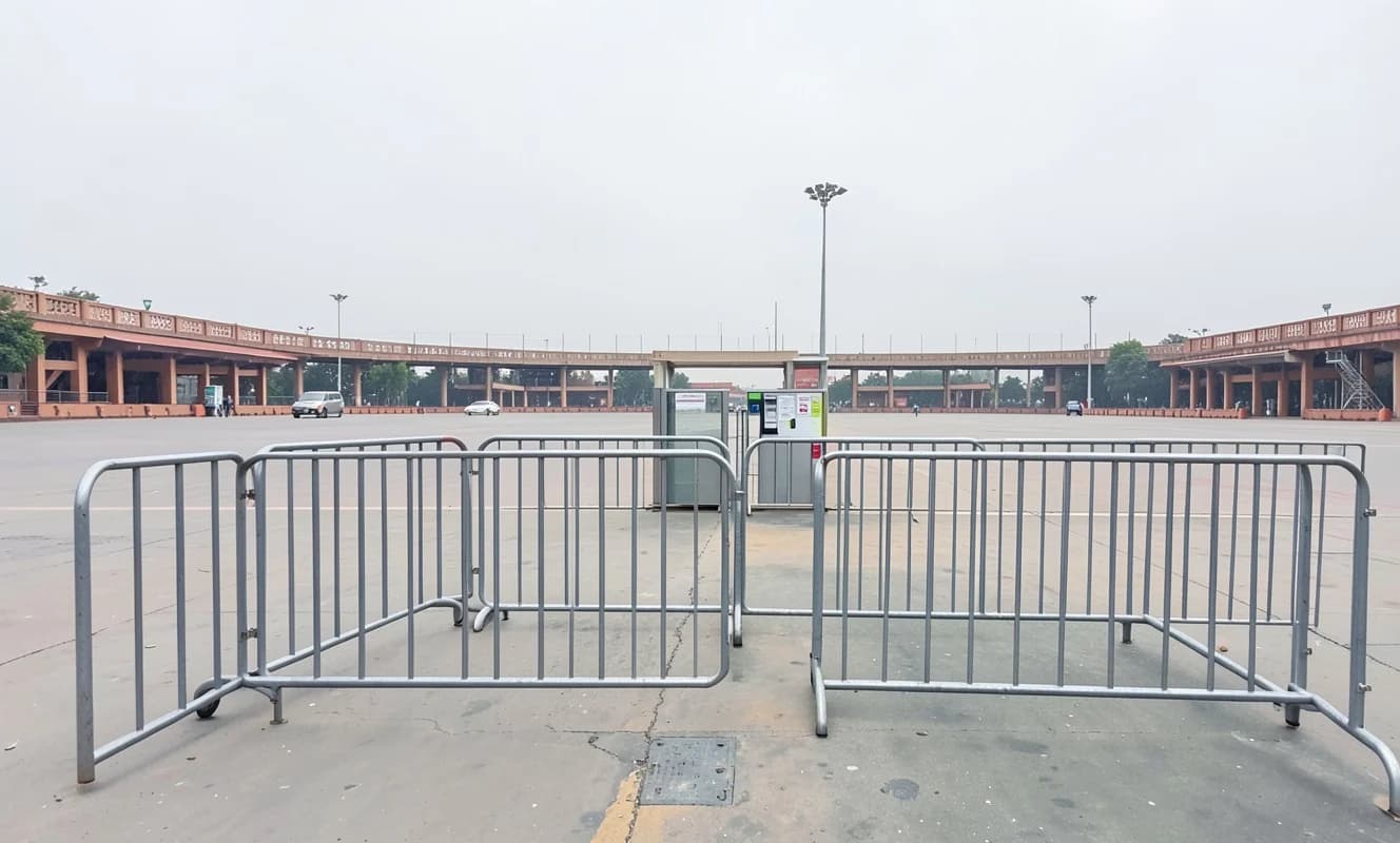 Hindistan'da 'Hamamböceği' hareketi liderleri serbest bırakıldı, Delhi protestolar için hazırlanıyor